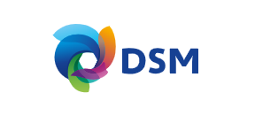 Logo-DSM